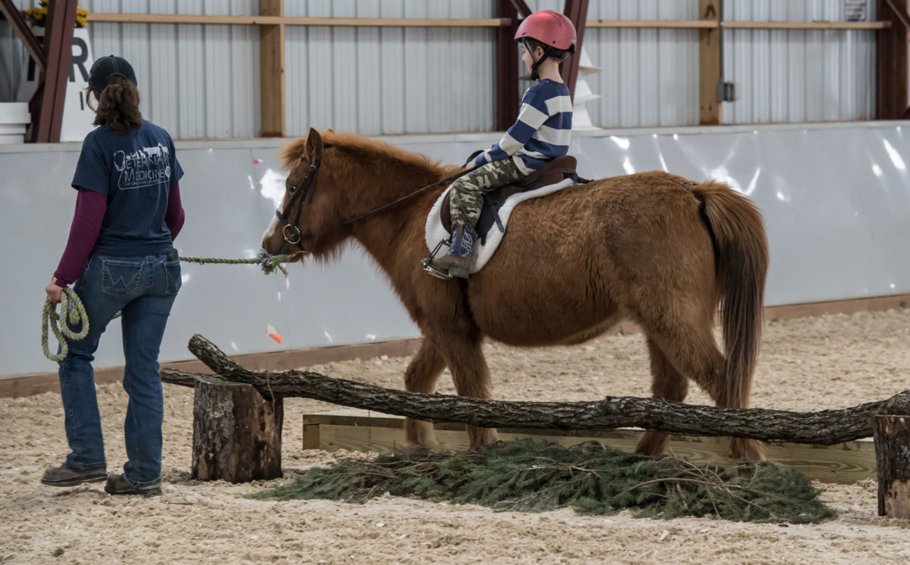 boy learning to ride horse