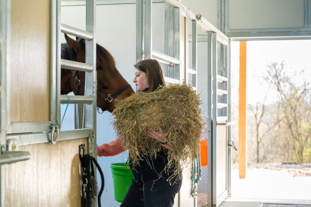 woman with horse within stall